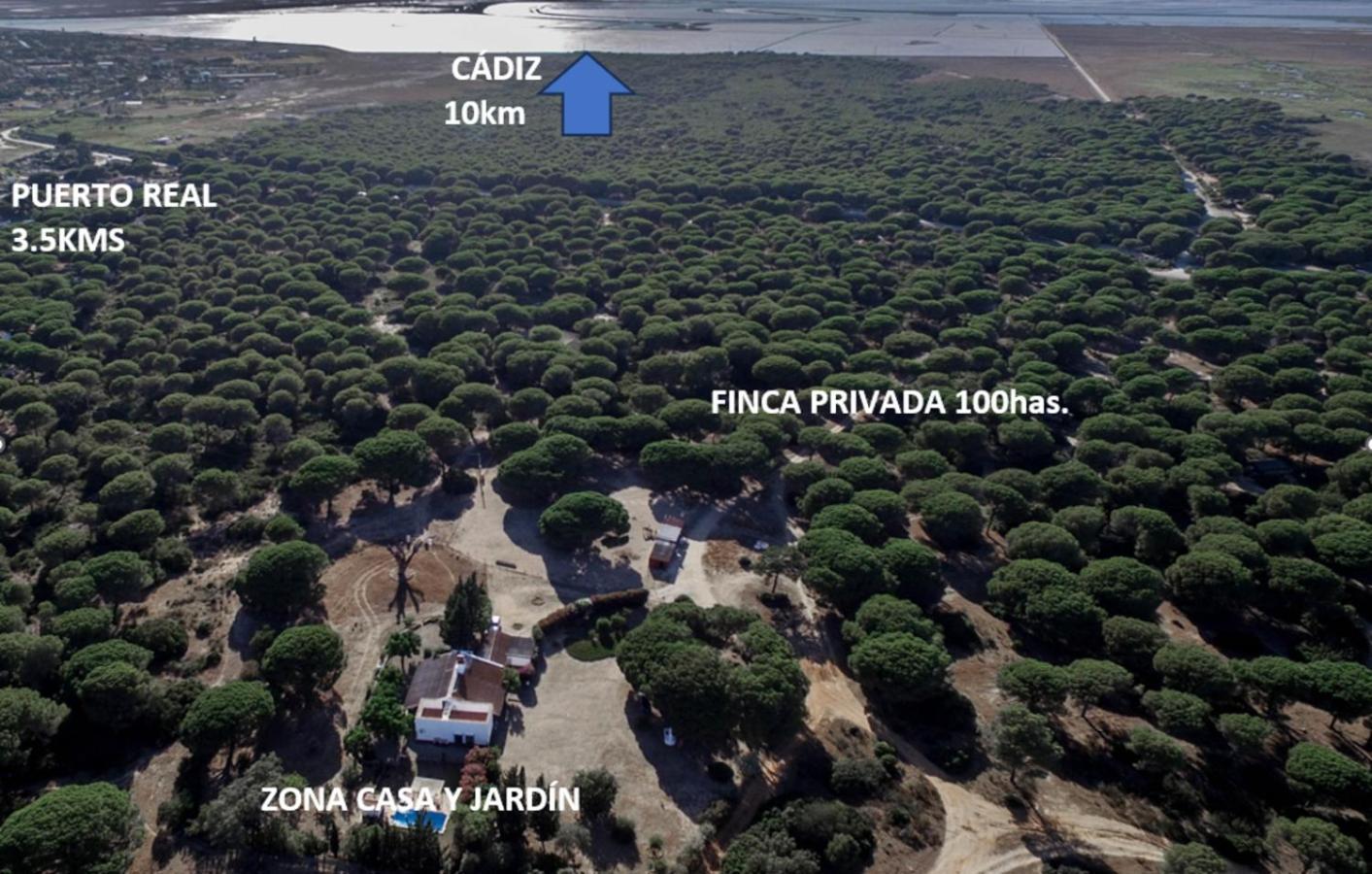 Casa Dehesa De Las Yeguas Cádiz Eksteriør billede